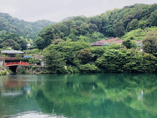 形原温泉　　あじさい祭り　　に　　行ってきた　　☆