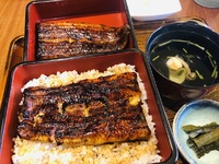 浜松市（静岡県）　　炭火焼きうなぎ　松葉　さんで　ランチ　☆