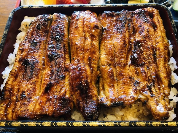 浜松市（静岡県）　　うなぎ店　かねりん　さんで　ランチ　☆