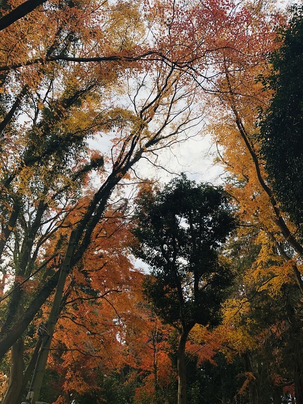 北山本門寺　　さん　　に　　立ち寄ってみた　　☆