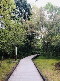 軽井沢（長野県）　　湯川ふるさと公園　遊歩道　を　散策☆