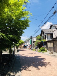 旧軽井沢銀座から　　雲場池まで　テクテク　☆