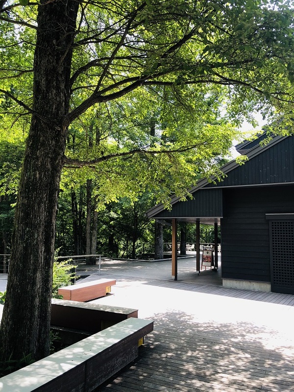 軽井沢（長野県）　　希須林　さんで　ランチ☆