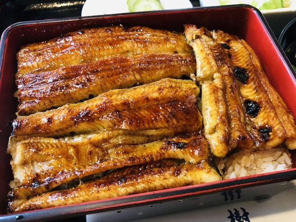 高崎市（群馬県）　うなぎ　一樹　さんで　ランチ☆