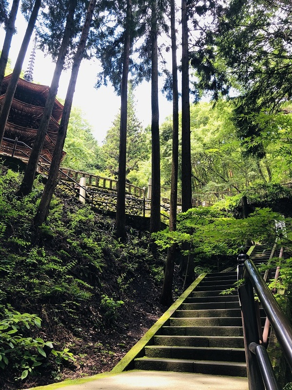 上田市（長野県）　安楽寺　さんを　参拝☆