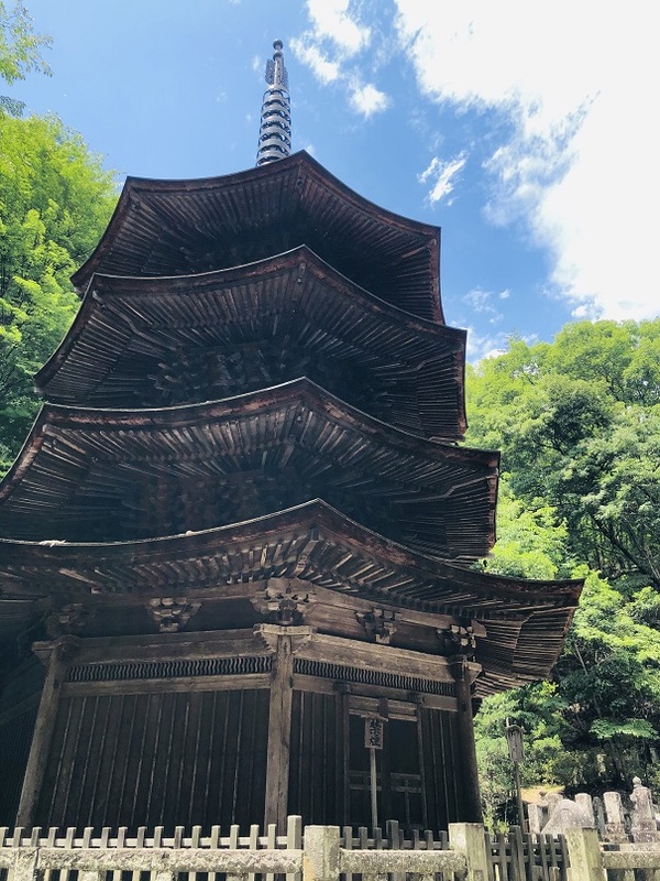 上田市（長野県）　安楽寺　さんを　参拝☆