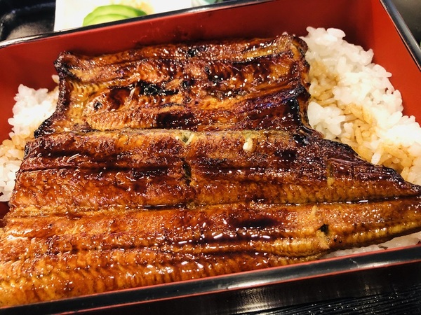 浜松市（静岡県）　　うなぎ　八百徳　さんで　ランチ☆