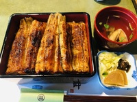 浜松市（静岡県）　老舗　うなぎ　藤田　さんで　ランチ☆