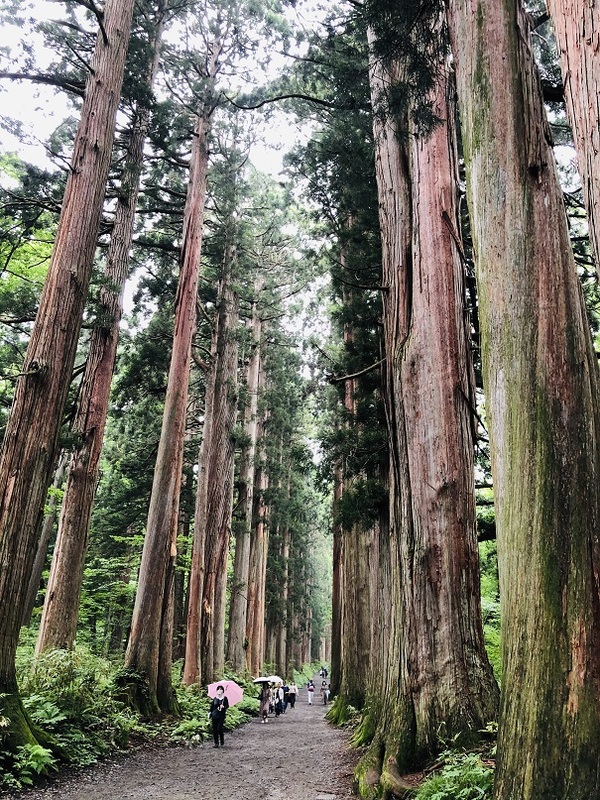 長野市（長野県）　　戸隠神社　さんを　参拝☆