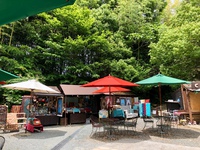 緑陰【トルコへの旅】 2018/05/27 05:47:37