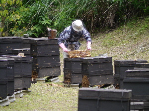 いだいら観音の里の「養蜂場」