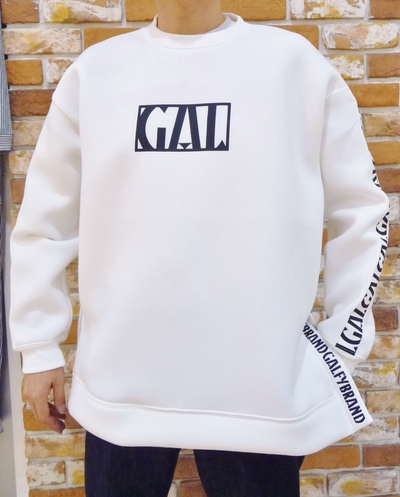 GALFY　入荷