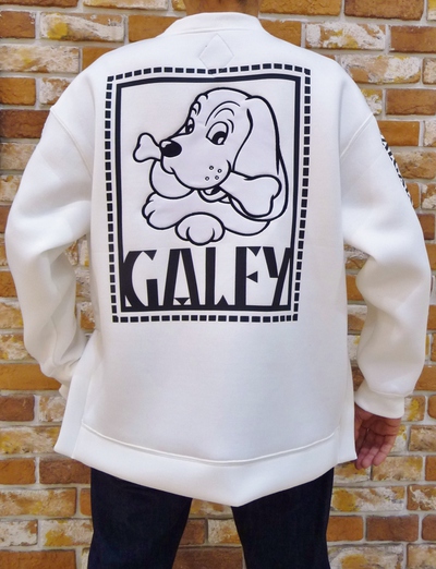 GALFY　入荷