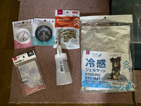 百均商品が爬虫類の為！ 2024/08/09 13:00:27