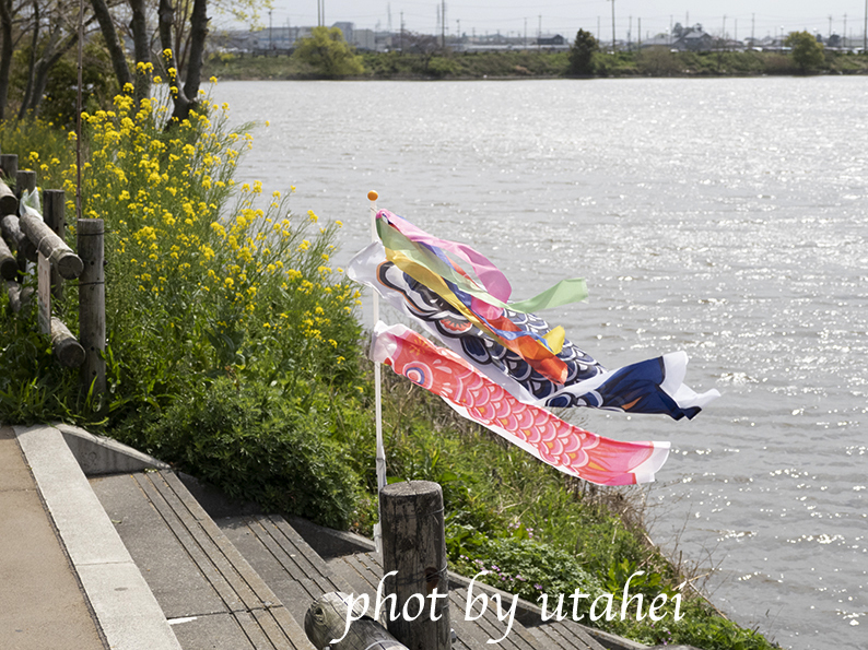 大池公園で