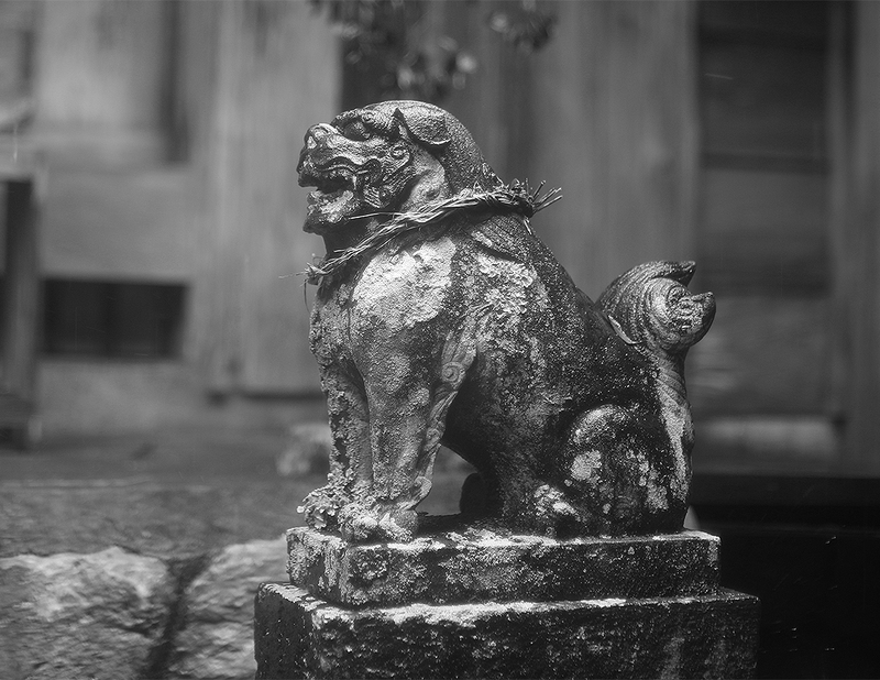 狛犬写真録