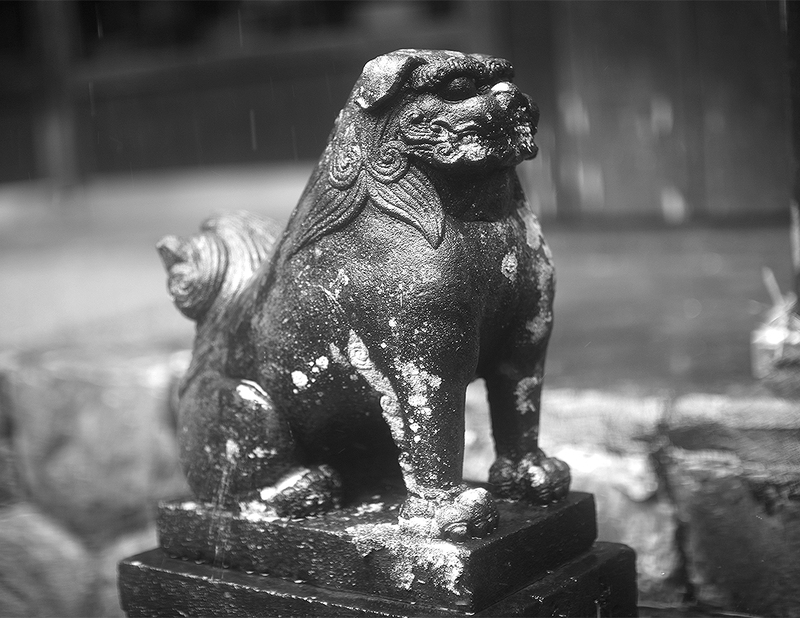 狛犬写真録