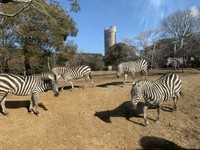 動物園