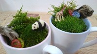 ありがとうございました 2017/07/09 18:39:00