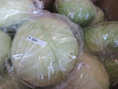 新鮮野菜、半分無人販売市場に入荷します