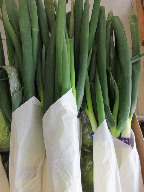 新鮮野菜、半分無人販売市場に入荷します