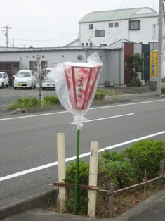 明日はお祭りだね