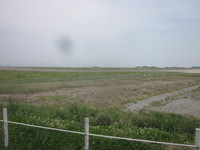 静岡空港