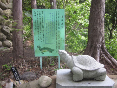 ギネス記録