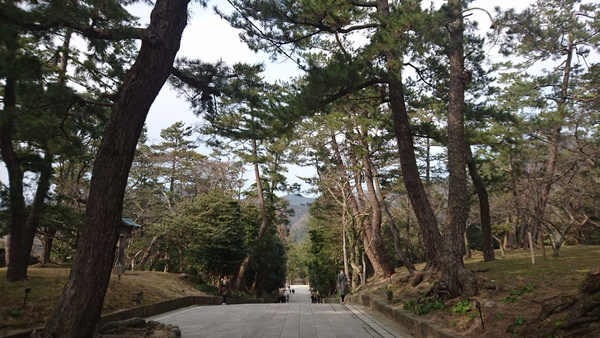 2018年島根県・鳥取県の旅 出雲大社編