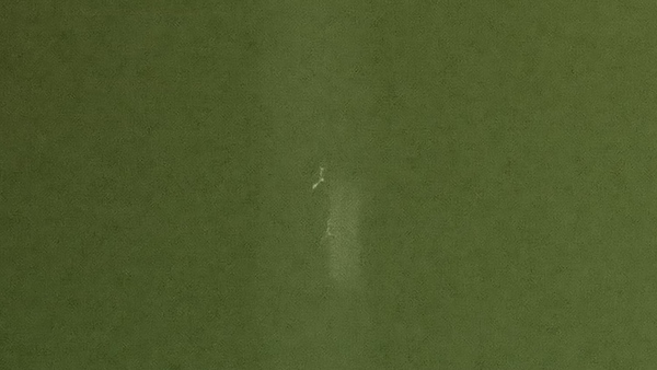 実家で見つけた、ホタル