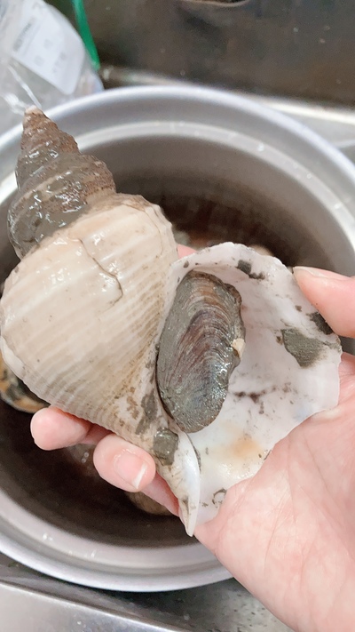 赤バイ