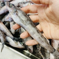 フーお肉最高と教えてくださったすべての人に感謝しかない日の翌日 2021/06/11 23:32:00
