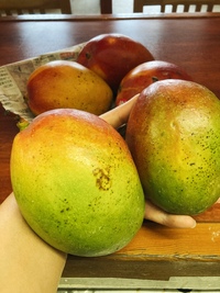 Jalea de mango