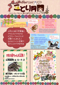 ヘラサギってサギじゃないらしい。 2017/06/05 11:30:00
