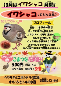 10月イベント！&美人すぎる鳥、アカガシラエボシドリ！ 2017/10/02 11:30:00
