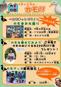９月のイベント！＆クビワコガモをご紹介！ 2017/09/04 11:30:00