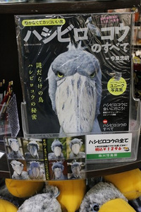 ふたばファン必見！写真集発売決定！ 2019/08/26 11:30:00
