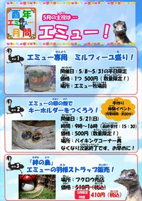 今月の鳥の紹介と、ヘビクイワシ『キック』を今一度強く推したいと思って書いたブログ 2017/05/01 11:30:00