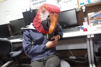 悲報：酉年が終わってしまいました。 2018/01/01 11:30:00