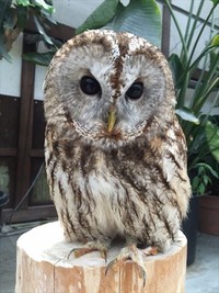 密着！くくの２４時 2016/05/16 11:30:00