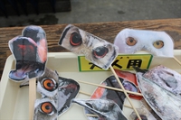 掛川花鳥園はクリスマスとお正月の二色！冬季限定イベントも！ 2016/11/28 11:30:00