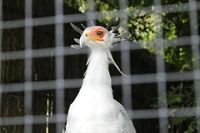 キックのビジネスパートナー 2020/10/19 11:30:00