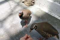 集まってきてくれるという喜び 2021/06/14 11:30:00