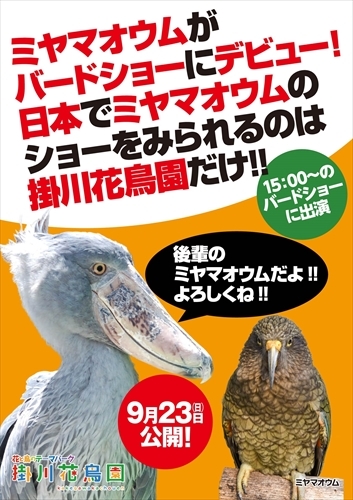 掛川花鳥園アワード2018のおさらいとグッズ紹介！ l 掛川花鳥園