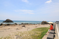 渥美半島「夏の海岸沿いを満喫！愛犬と共に伊良湖まで軽快ドライブ＆カフェランチ」