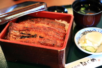 浜松・鰻「炭焼鰻はじめ」卸問屋での下積みを経て鰻を知り尽くした店主の人気鰻店