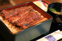 浜松・鰻「かねりん鰻店」中庭を望みながら備長炭で焼き上げる鰻重をゲストと共に