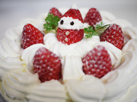もうすぐクリスマス！ 2012/12/07 21:16:11