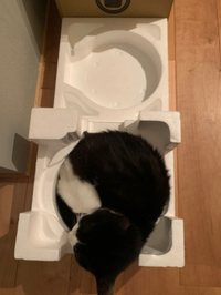 ジャストフィット。