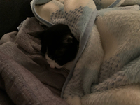 モチベーション上げていこう。
